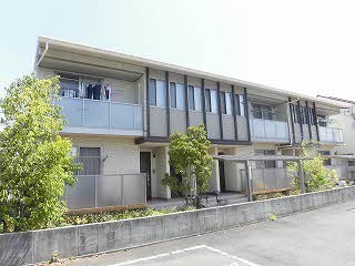 �O��